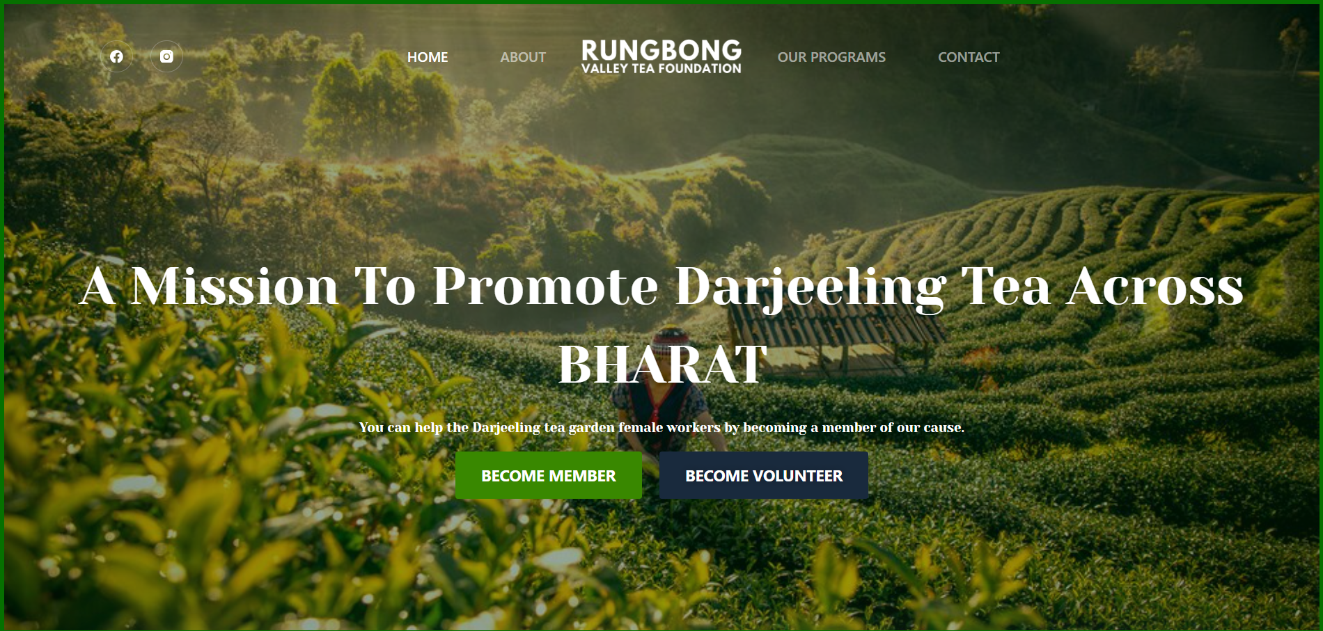 Rungbong Valley Tea